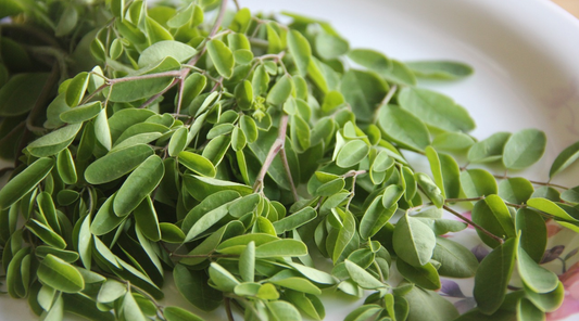 Navigating Winter: Your Guide to Immunity-Boosting Superfoods