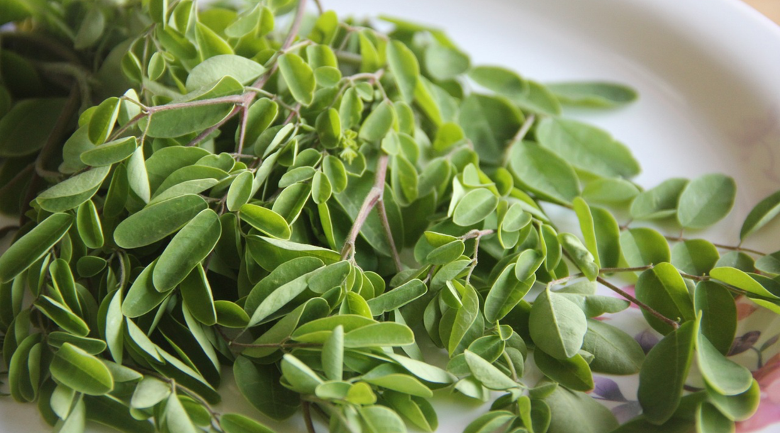 Navigating Winter: Your Guide to Immunity-Boosting Superfoods