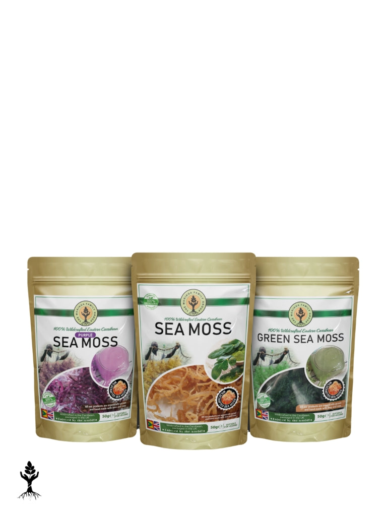 100% Wildcrafted Sea Moss – The Moringa Family Group