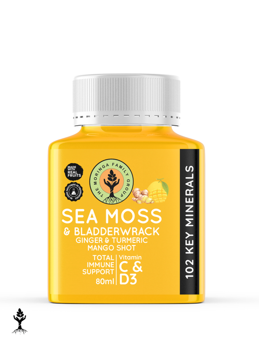 Sea Moss Ginger & Turmeric Shot – Mango