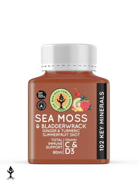 Sea Moss Ginger & Turmeric Shot – Summer Fruits