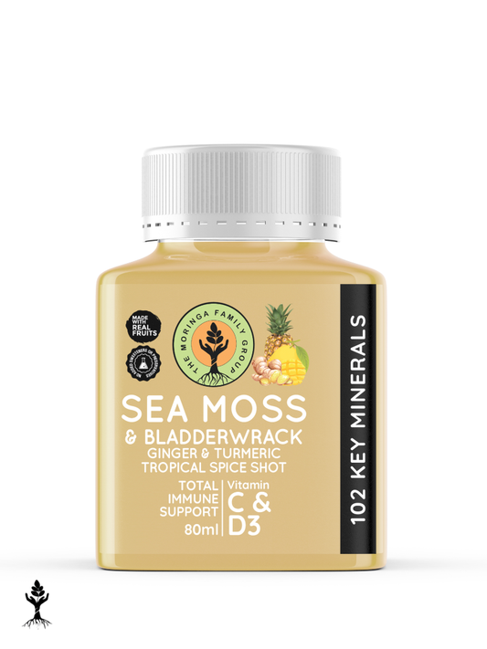 Sea Moss Ginger & Turmeric Shot – Tropical Spice